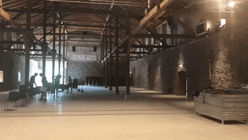 Festspiele Mecklenburg-Vorpommern GIF