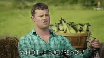 Letterkenny GIF