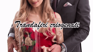 Trandafiri Eterni GIF