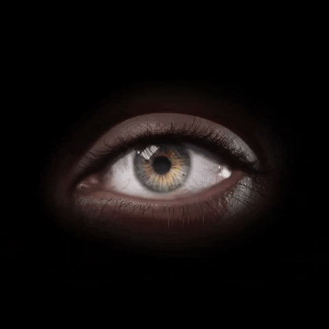 libeskindarts eye iris eyeball eyelash GIF