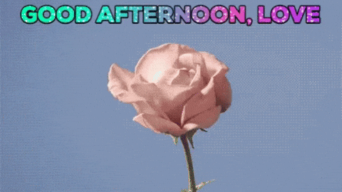 The Afternoon Gifs Get The Best Gif On Giphy