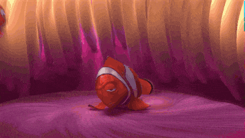 Finding Nemo Morning GIF by Disney Pixar