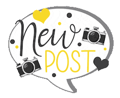 Elnaz Shokrollahi Photography Sticker