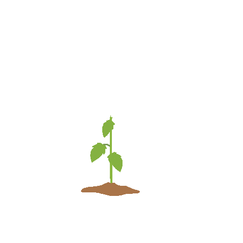 Garden Tomato Sticker