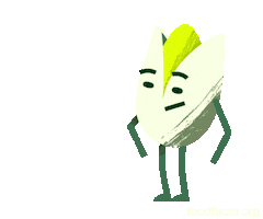 Foodfacts.org Sticker