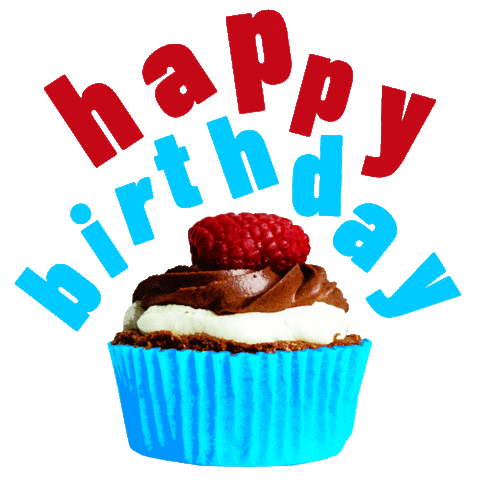 Happy Birthday Party Sticker by Astralón