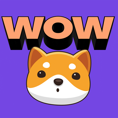 Money Wow GIF by Baby Doge Coin