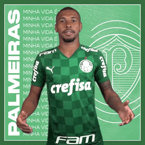 Soccer Futebol GIF by SE Palmeiras