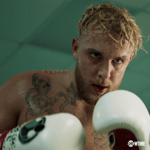 Jake Paul Sport GIF by SHOWTIME Sports