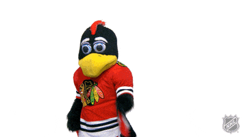 Watching You Chicago Blackhawks GIF by NHL