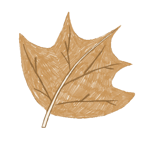 Fall Leaf Sticker