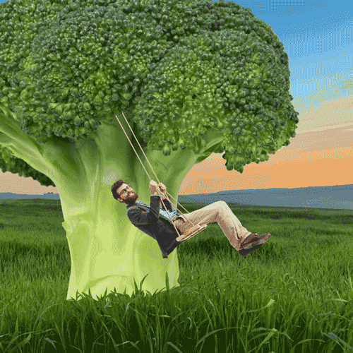 Tree Swing Gif By At America’S Diner We Pronounce It GIF