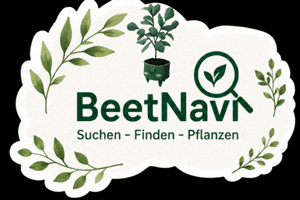 Beetnavi.com GIF