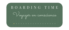 Travel Airplane Sticker by Boarding Time
