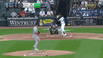 Luis Robert GIF