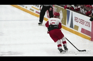 red deer hockey GIF by Canada Games Council
