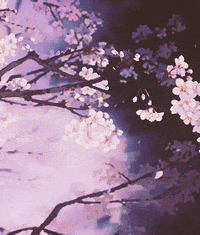 Aesthetic Anime Gifs Get The Best Gif On Giphy