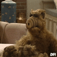 I Guess Tv Show GIF by Laff