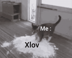 Xlov GIF