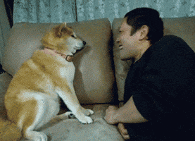Rejected Dogs GIF by The BarkPost