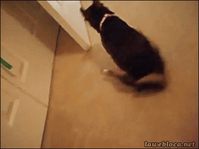 &Ntilde;&ETH;&frac34;&ETH;&plusmn;&ETH;&deg;&ETH;&ordm;&ETH;&deg; &ETH;&sup2;&Ntilde;&Ntilde;&ETH;&cedil;&Ntilde;&ETH;&deg;&ETH;&micro;&Ntilde; GIF