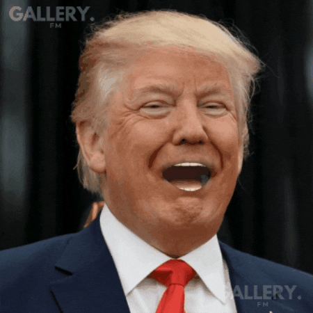 Trump Politics GIF by Gallery.fm