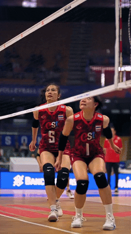 Sport Jump GIF by Volleyball World