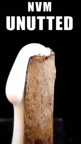 No GIF