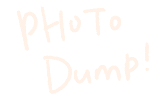 Photo Dump Sticker by CHOOCHOO-ca-CHEW