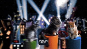 Catlove Worldsbest GIF by Worlds Best Cat Litter