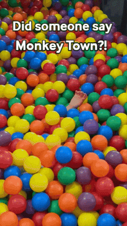 Playground Suprise GIF by Monkey Town