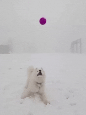 Snow Jump GIF