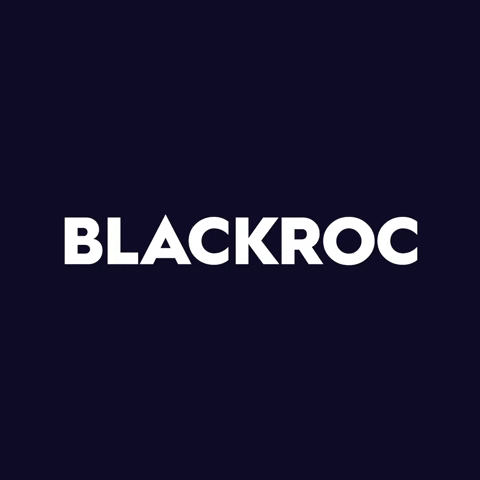 logo brand GIF by BLACKROC