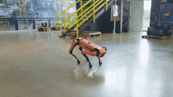Spot Backflip Boston Dynamics GIF by BostonDynamics