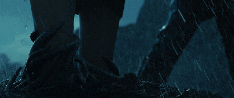 Roots GIF