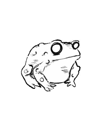 Frog Blinking Sticker
