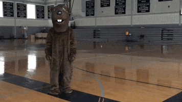 beaver yes GIF by Welcome to the BVR Dam