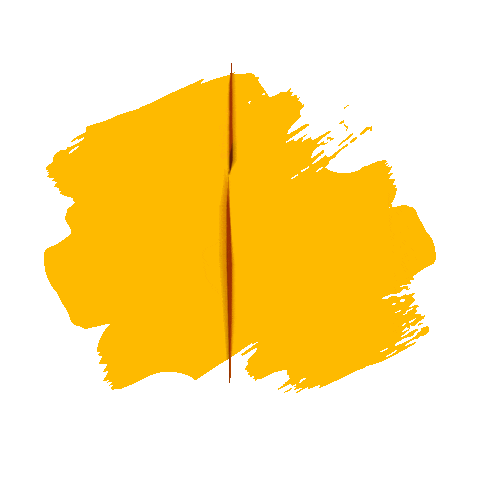 Rioanil Arraialdorioanil Sticker by Rio Anil Shopping