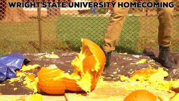 Smash Smashing Pumpkins GIF by Wright State University