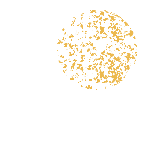 Arbórea Cachaça Sticker