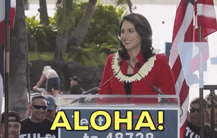 Tulsi Gabbard Aloha GIF by GIPHY News
