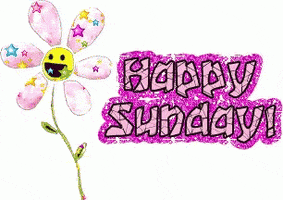 Video gif. Smiling flower vibrates against a white background. Text, "Happy Sunday."