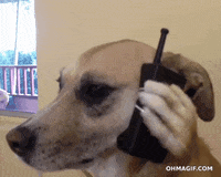 911 GIFs - Get the best GIF on GIPHY