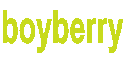 boyberry Sticker