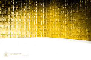 Hollmann International GIF