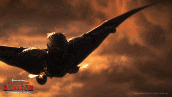 fly flight GIF by How To Train Your Dragon