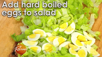 rachel salad GIF by Rachael Ray Show