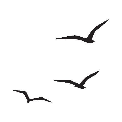 Beer Brazil Sticker by Cerveja Yela