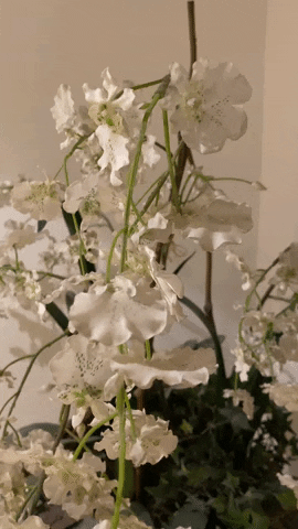 bkphysiotherapie GIF