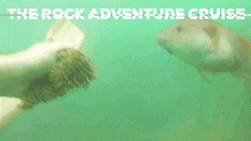 Therock GIF by Simple Life Social